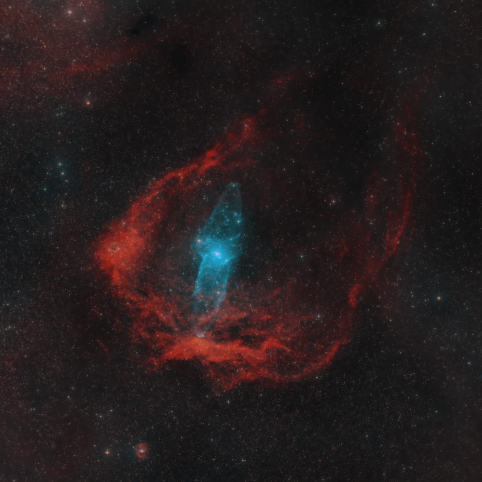 FLYING BAT AND SQUID NEBULA Telescope Live